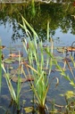 Galeriebild 1