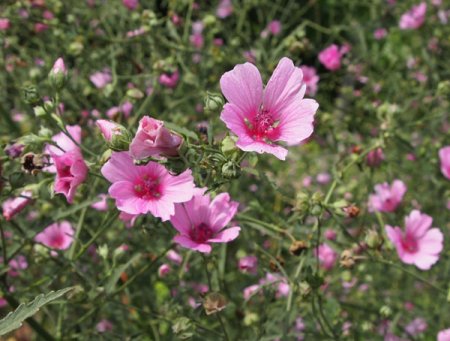 Galeriebild 1