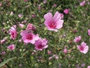 Galeriebild 1