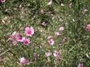 Galeriebild 2