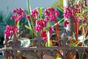 Galeriebild 1