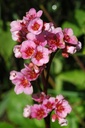 Galeriebild 1