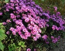 Galeriebild 1