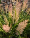 Galeriebild 1
