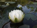 Galeriebild 1