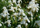 Galeriebild 1