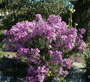 Galeriebild 1