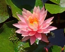 Galeriebild 1