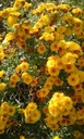Galeriebild 1