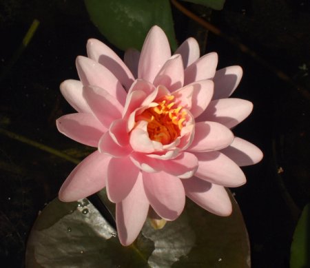 Galeriebild 1