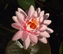 Galeriebild 1