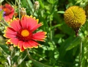 Galeriebild 1