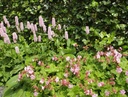 Galeriebild 2