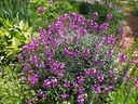 Galeriebild 1