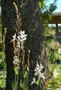 Galeriebild 2