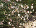 Galeriebild 3