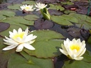 Galeriebild 1