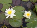 Galeriebild 2