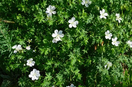 Galeriebild 1
