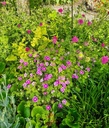 Galeriebild 1