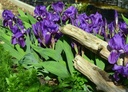 Galeriebild 2