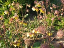 Galeriebild 1