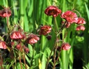 Galeriebild 2