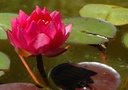 Galeriebild 1
