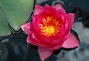Galeriebild 2