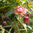 Galeriebild 1