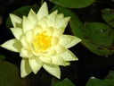 Galeriebild 1