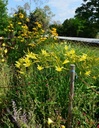 Galeriebild 1