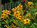 Galeriebild 1