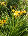 Galeriebild 2