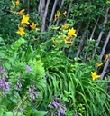 Galeriebild 1