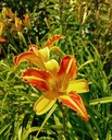 Galeriebild 1