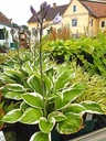 Galeriebild 1