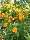 Galeriebild 1
