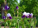 Galeriebild 1