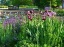 Galeriebild 2