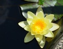 Galeriebild 1