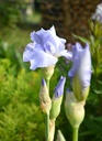 Galeriebild 1