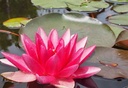 Galeriebild 1