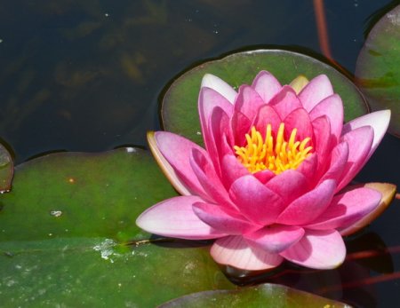 Galeriebild 2