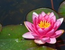 Galeriebild 2