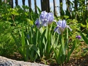 Galeriebild 1