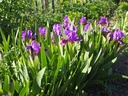 Galeriebild 1