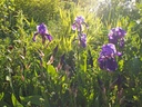 Galeriebild 1