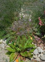 Galeriebild 1
