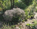 Galeriebild 2